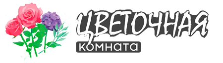 Цветочная комната